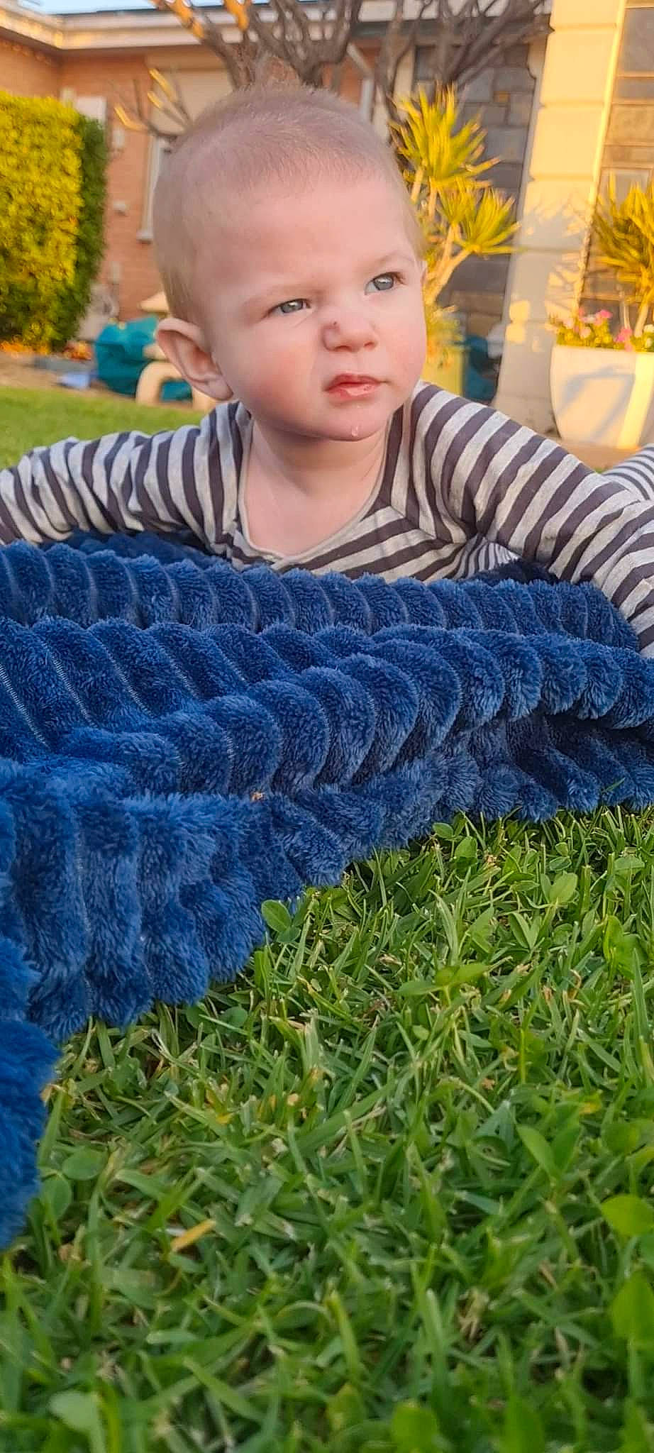 Bodhi is registered to the contest to win money with this photo: beauty, cool, denim, electric_blue, facial_expression, fun, grass, happy, leaf, leisure, light, pattern, people_in_nature, person, plant, sitting, summer, t_shirt, toddler, tree