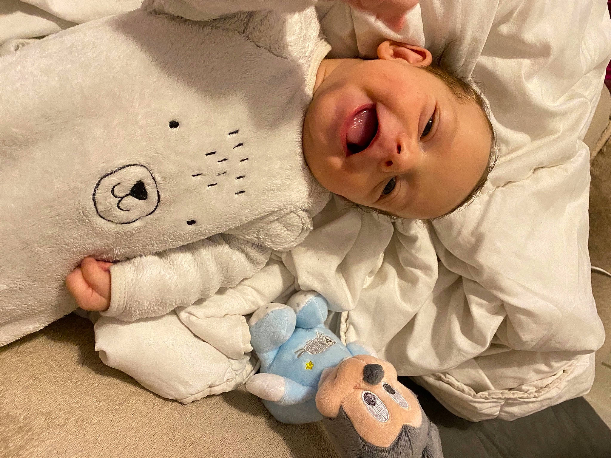 Noâm participe au concours pour gagner de l'argent avec cette photo : baby, baby_products, baby_toddler_clothing, baby_toys, button, cheek, child, person, plush, skin, sleeve, stuffed_toy, textile, toddler, toy