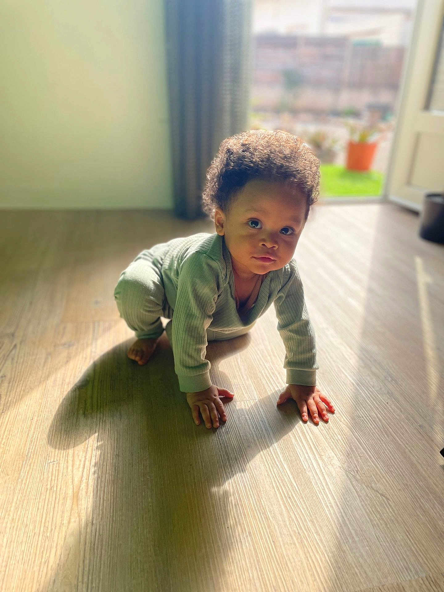 Joari a rejoint le concours — aidez-le/la à gagner de superbes lots ! toddler, child, baby, crawling, pajamas, wooden_floor, shadow, natural_light, indoor, door, curtain, window, plant, pot, home, person, flooring, portrait, young_child, indoors