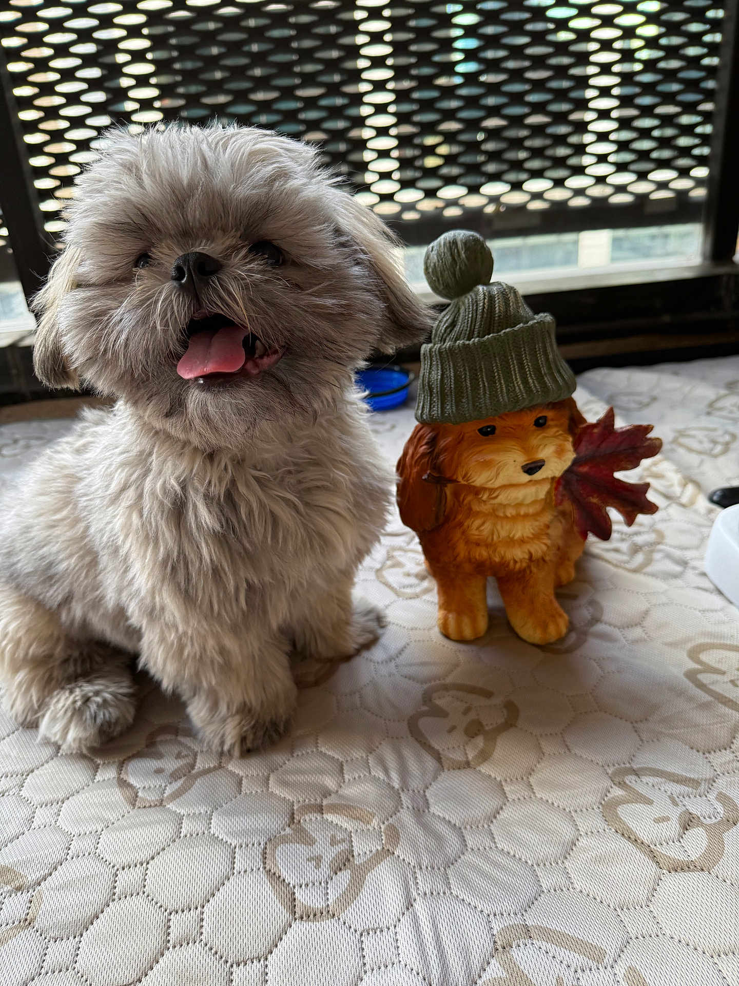 Raphael is registered to the contest to win money with this photo: animal_figurine, brown_dog_figurine, close_up, cute, decorative, dog, figurine, fluffy, hat, indoor, knitted_hat, leaf, mesh, patterned_surface, pet, puppy, smiling_dog, table_surface, tongue_out, window