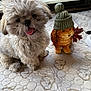 brown, cute, decor, dog, figurine, fluffy, green_hat, hat, indoor, leaf, patterned, pet, puppy, quilted_surface, small_dog, table, tongue_out, toy, white, window