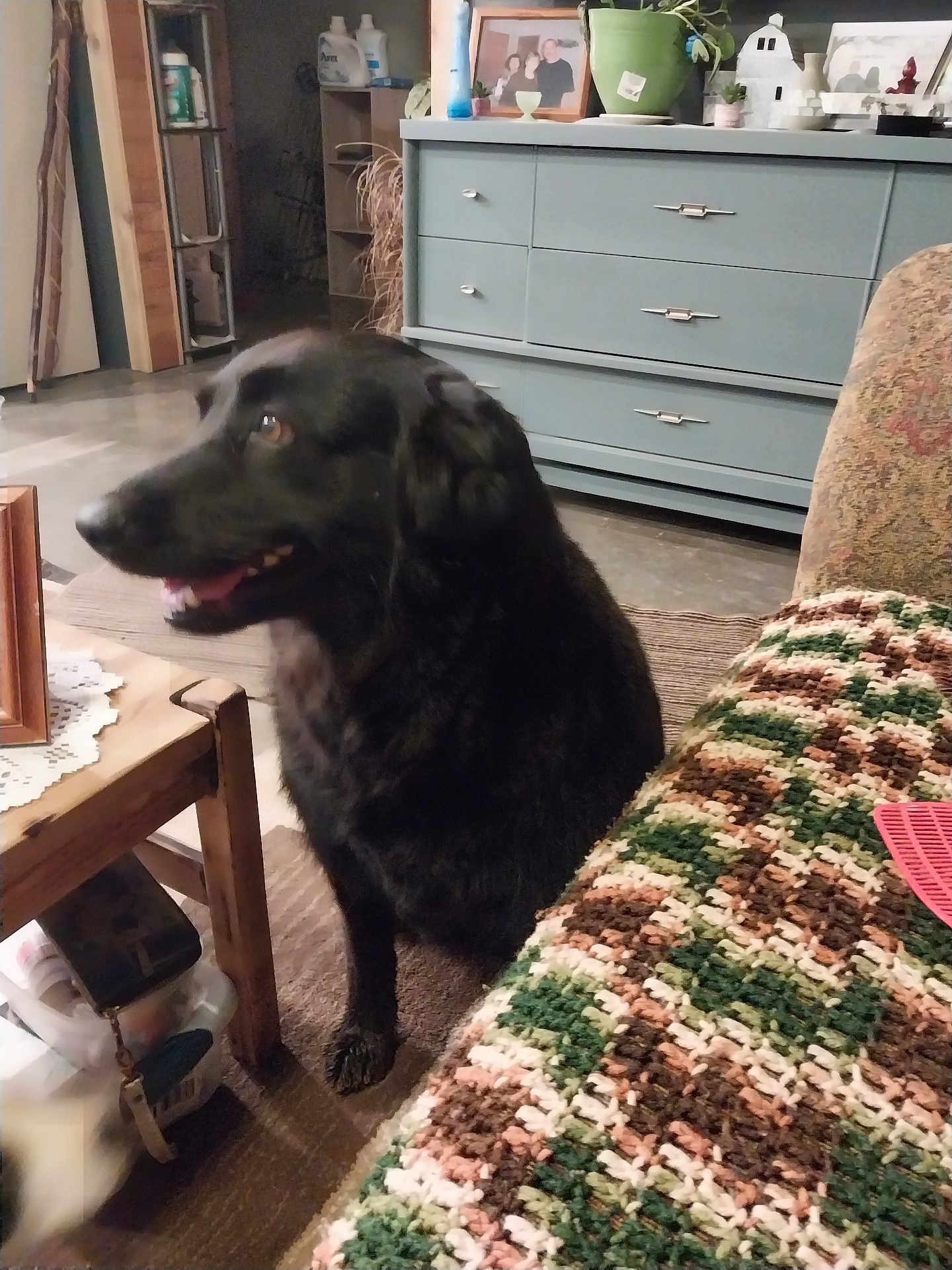 Maggie