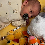 Tiago participe au concours pour gagner de l'argent avec cette photo : newborn, baby, pacifier, onesie, hedgehog_print, yellow_blanket, plush_toy, winnie_the_pooh, tigger, white_bear, infant, cute, sleeping_area, soft_toys, child, lying_down, cozy, indoors, personalized, baby_clip
