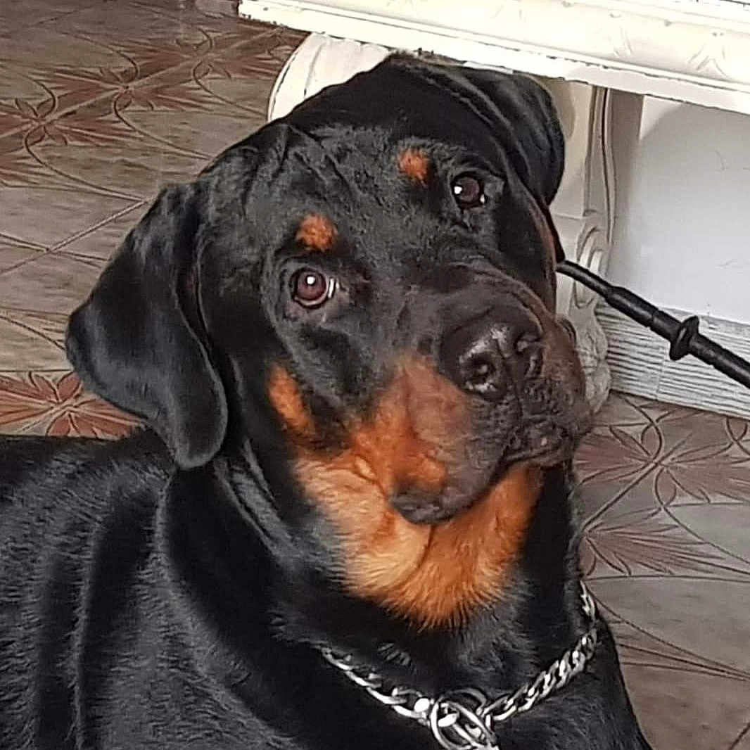 Leroy