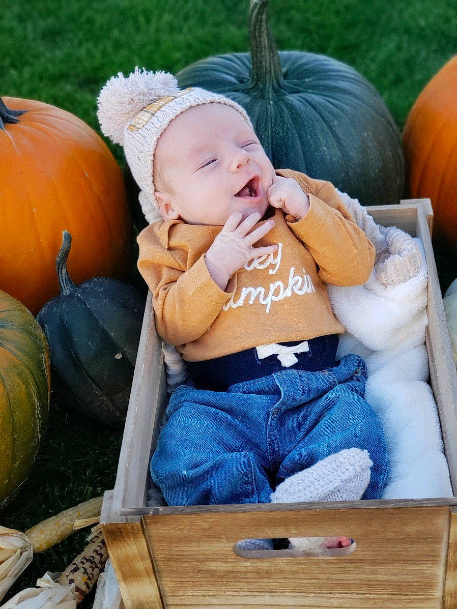 Flynn is registered to the contest to win money with this photo: baby, baby_toddler_clothing, calabaza, comfort, cucurbita, fun, gourd, grass, happy, headwear, human_body, leisure, natural_foods, person, plant, pumpkin, squash, thigh, toddler, vegetable
