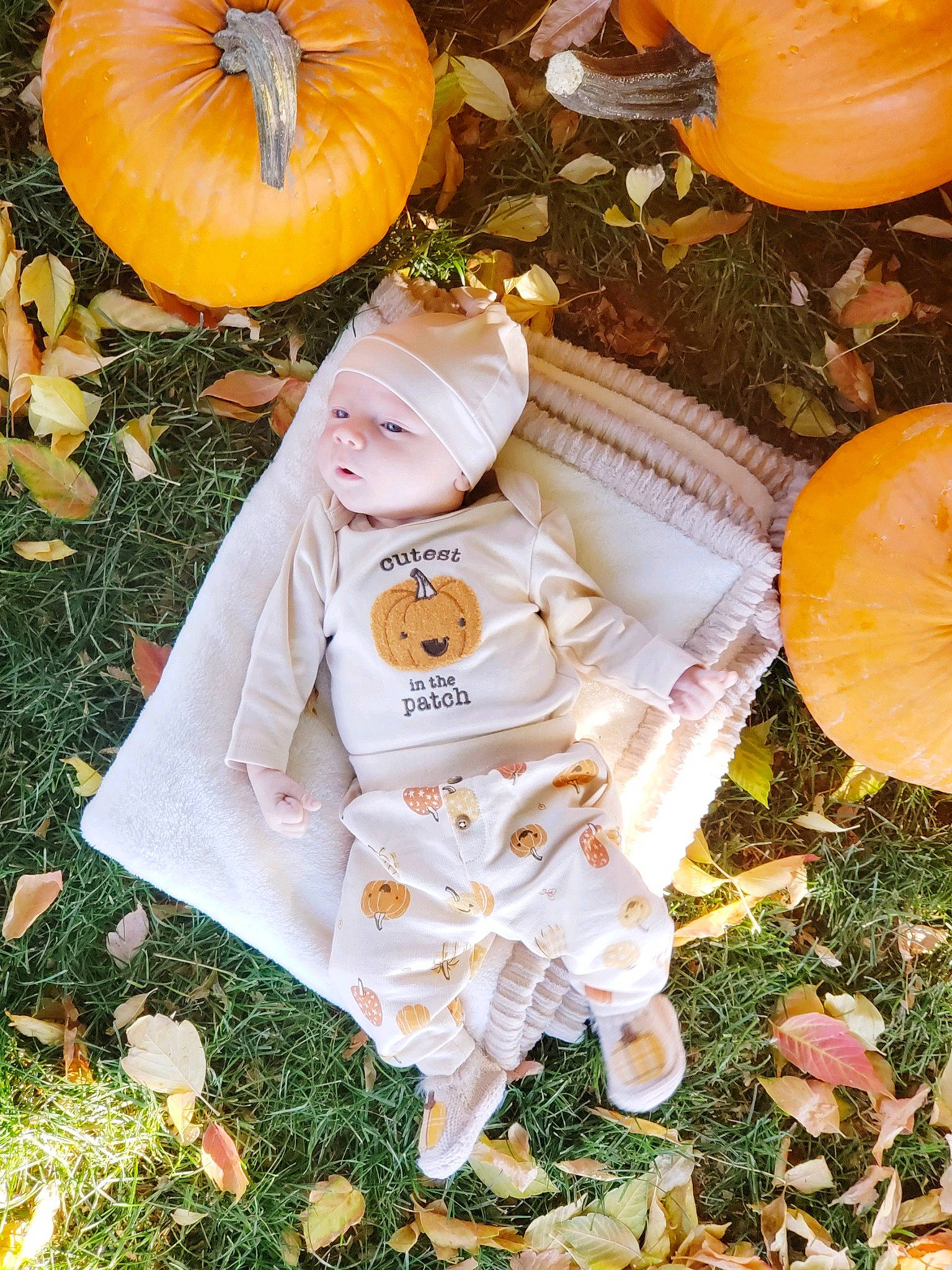 Flynn is registered to the contest to win money with this photo: autumn, baby_toddler_clothing, calabaza, cucurbita, gourd, grass, happy, hat, headwear, leaf, local_food, natural_foods, orange, people_in_nature, person, plant, pumpkin, squash, tints_and_shades, toddler