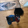 dog, pet, clothing, denim_overalls, plaid_shirt, wooden_floor, rug, litter_box, fluffy, small_dog, outfit, indoors, fur, back_view, walking, home, accessory, tile_floor, cute, animal