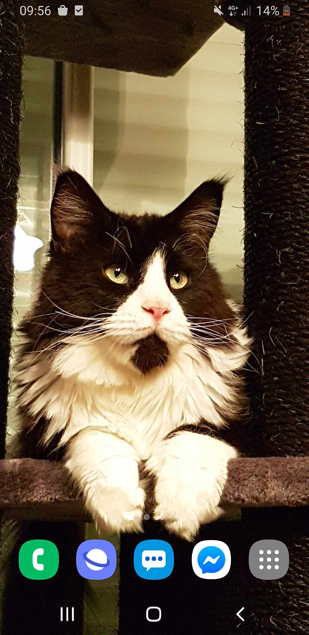 Berlioz
