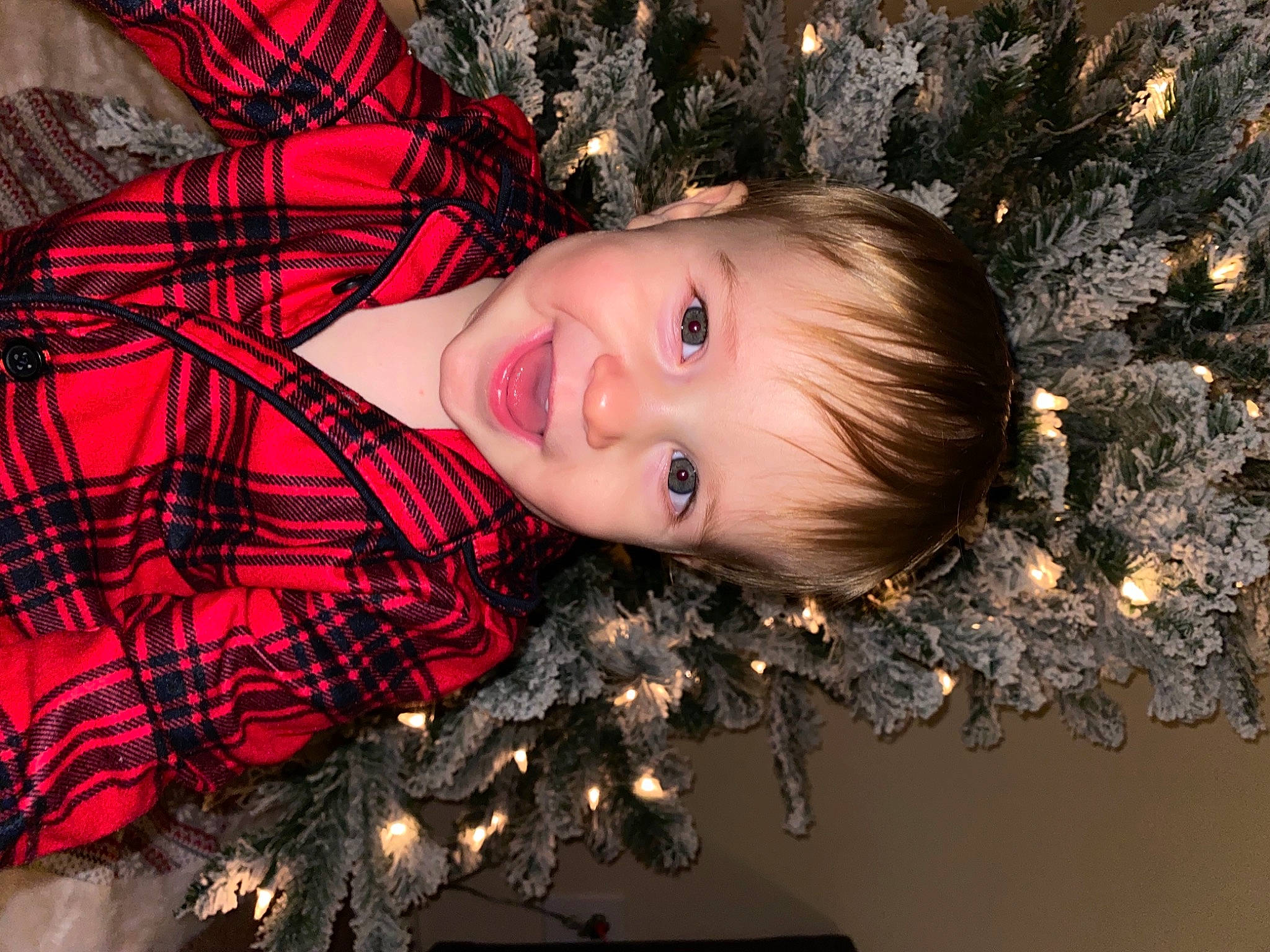 Brenton joined the competition — help win amazing prizes! christmas, christmas_decoration, christmas_eve, christmas_lights, christmas_ornament, christmas_tree, conifer, fir, holiday, holiday_ornament, interior_design, ornament, pattern, person, pine, pine_family, plaid, red_hair, tartan, textile