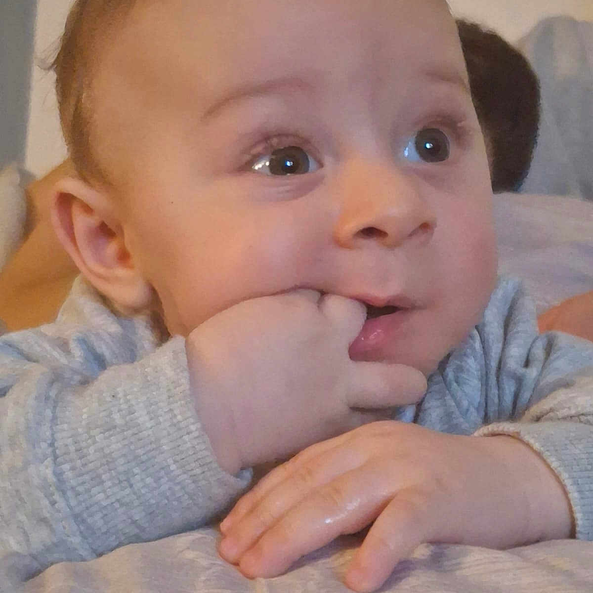 Aylan a rejoint le concours — aidez-le/la à gagner de superbes lots ! baby, bedding, chewing, child, close_up, curious, cute, ear, eyes, face, fingers, hands, indoors, infant, mouth, nose, portrait, skin, sleeve, smile