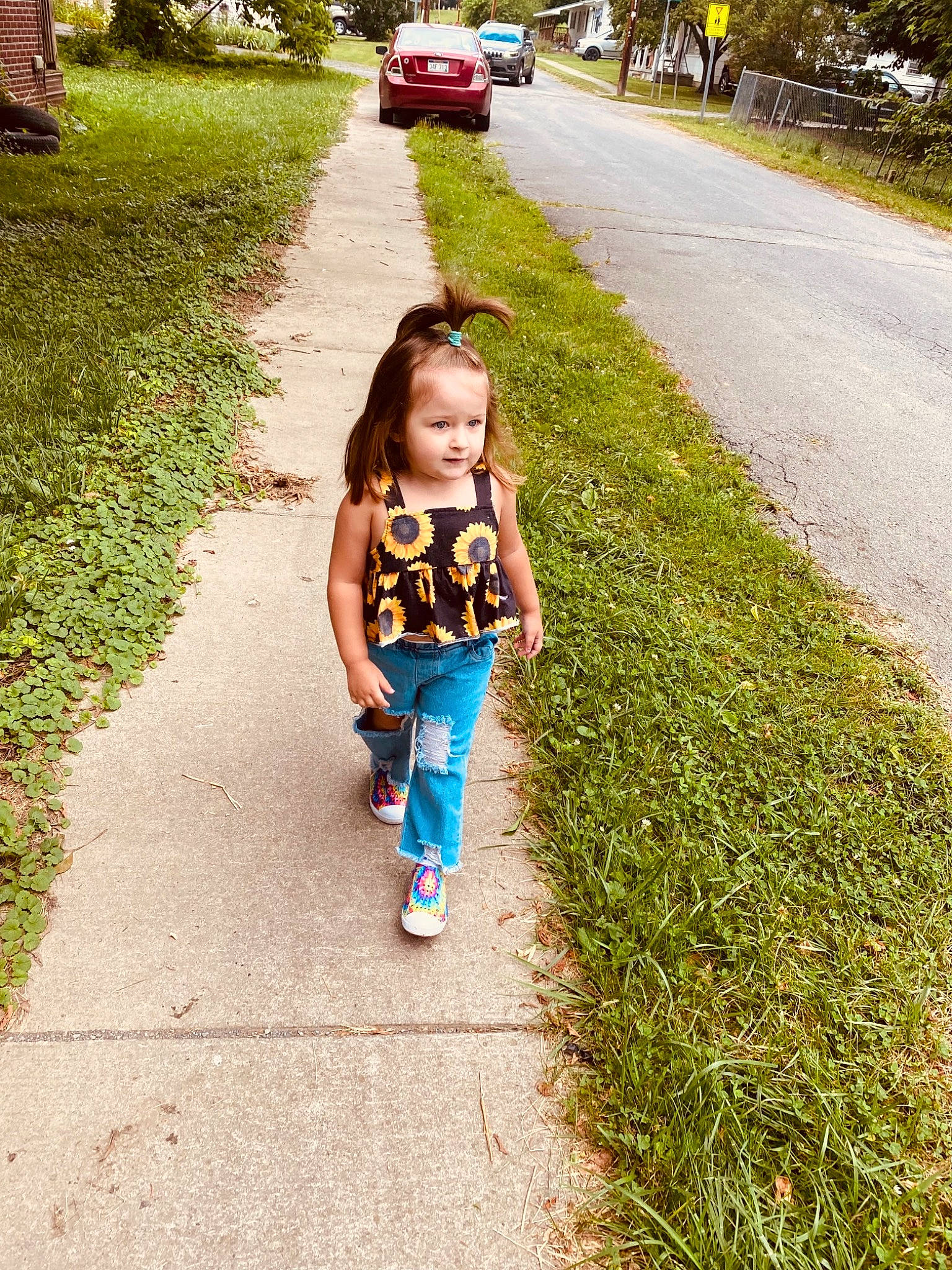 Koda Paige is registered to the contest to win money with this photo: asphalt, eye, fun, grass, grass_family, happy, infrastructure, leaf, leisure, morning, people_in_nature, person, photograph, plant, road, road_surface, sidewalk, tints_and_shades, toddler, tree