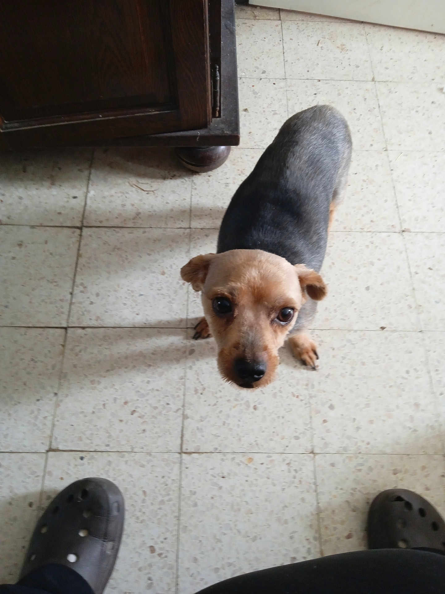 Oscar