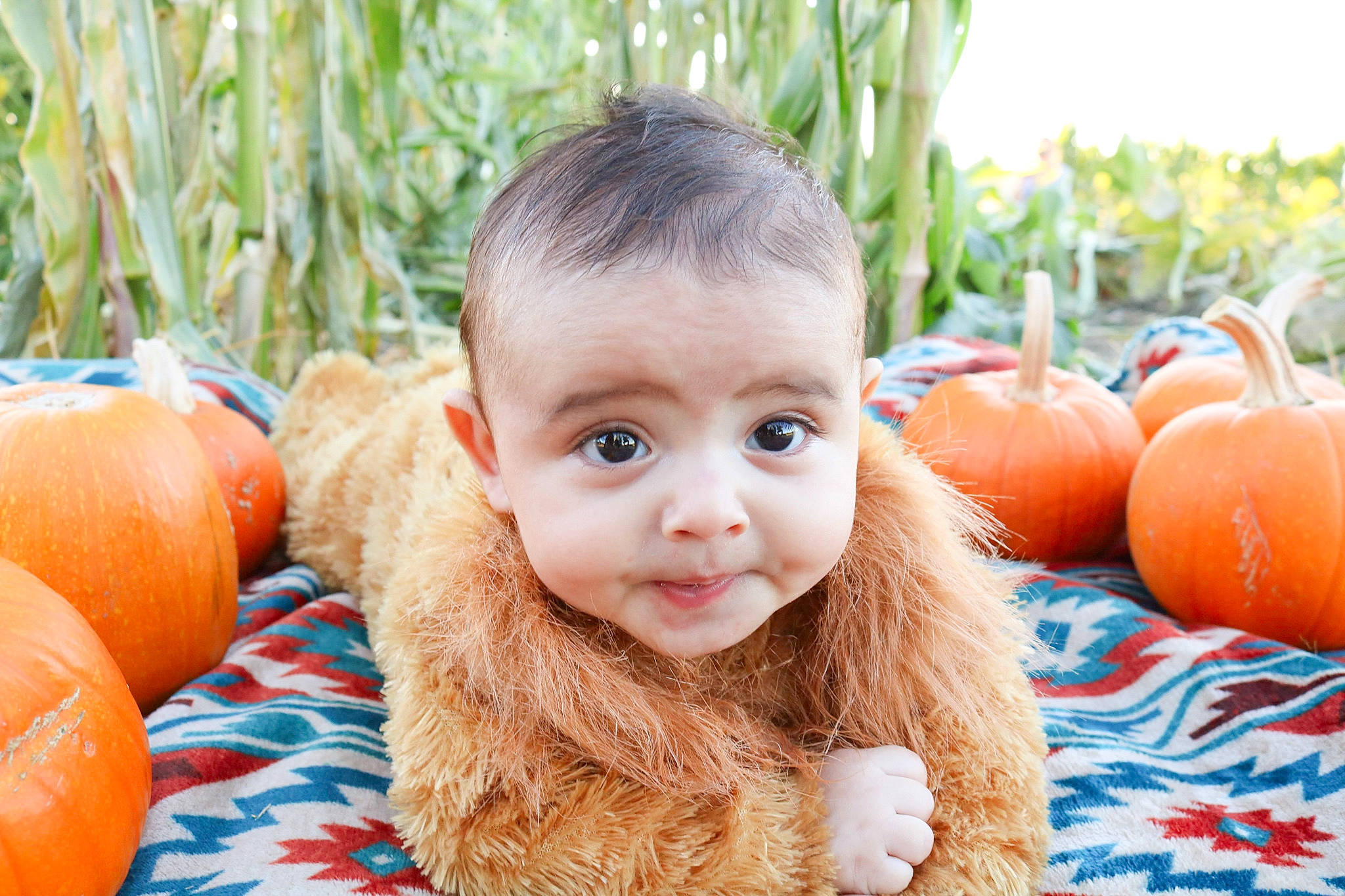 Kamrin is registered to the contest to win money with this photo: child, fun, girl, happiness, infant, person, pumpkin, skin, smile, toddler