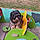 Filou