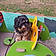 Filou