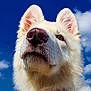 Reefa is registered to the contest to win money with this photo: