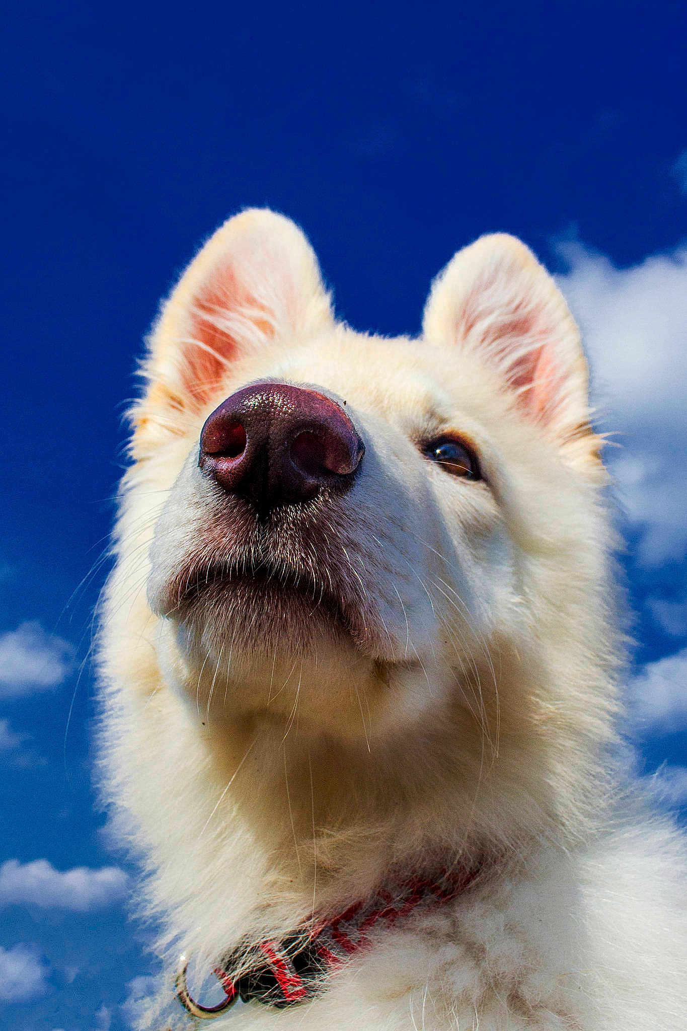 Reefa is registered to the contest to win money with this photo: