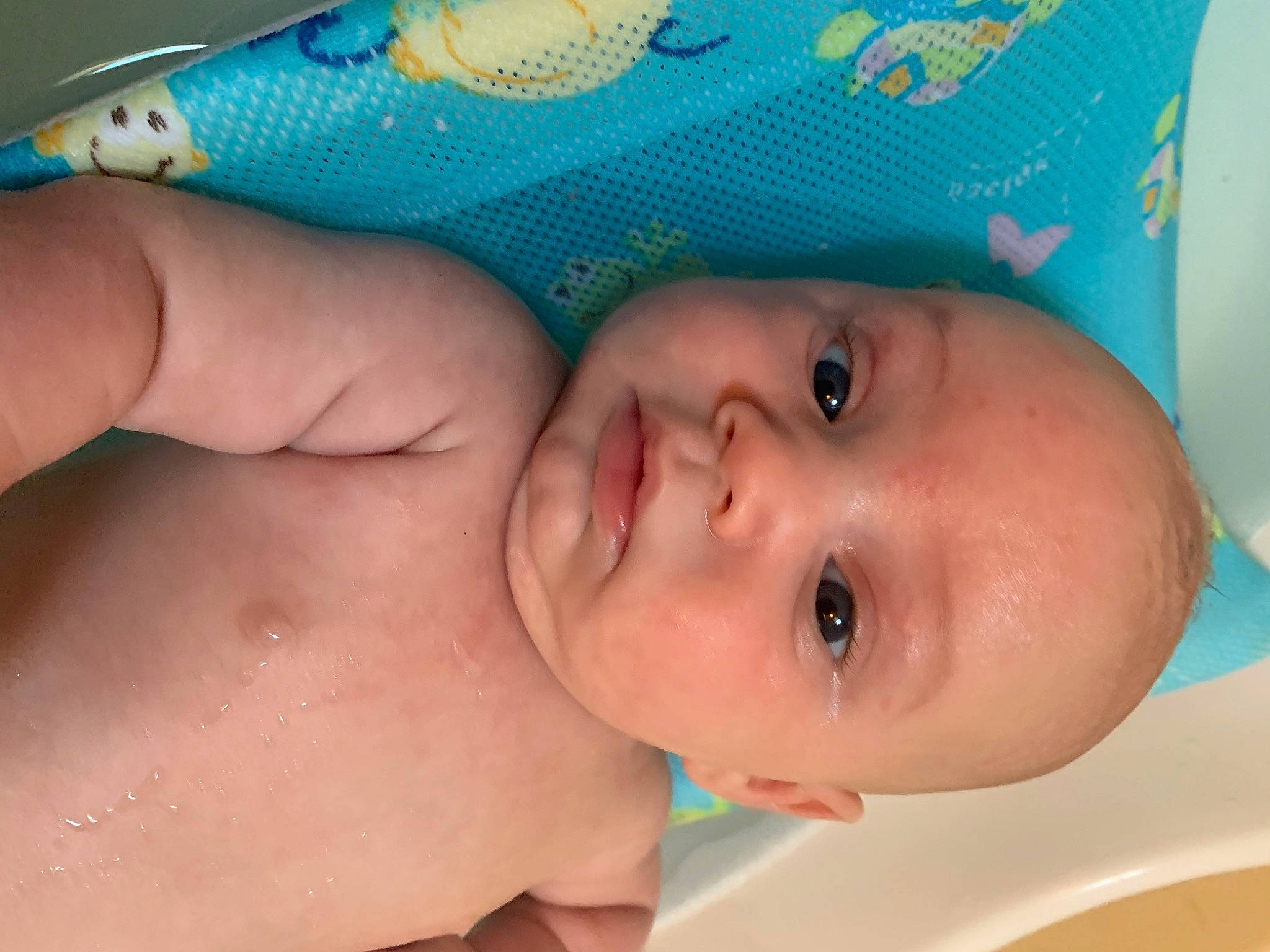 Leo joined the competition — help win amazing prizes! arm, baby, blue, cheek, chest, eye, eyebrow, eyelash, finger, hand, head, human_body, iris, lip, mouth, nose, person, product, skin, textile