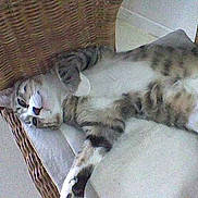 COCA participe au concours pour gagner de l'argent avec cette photo :