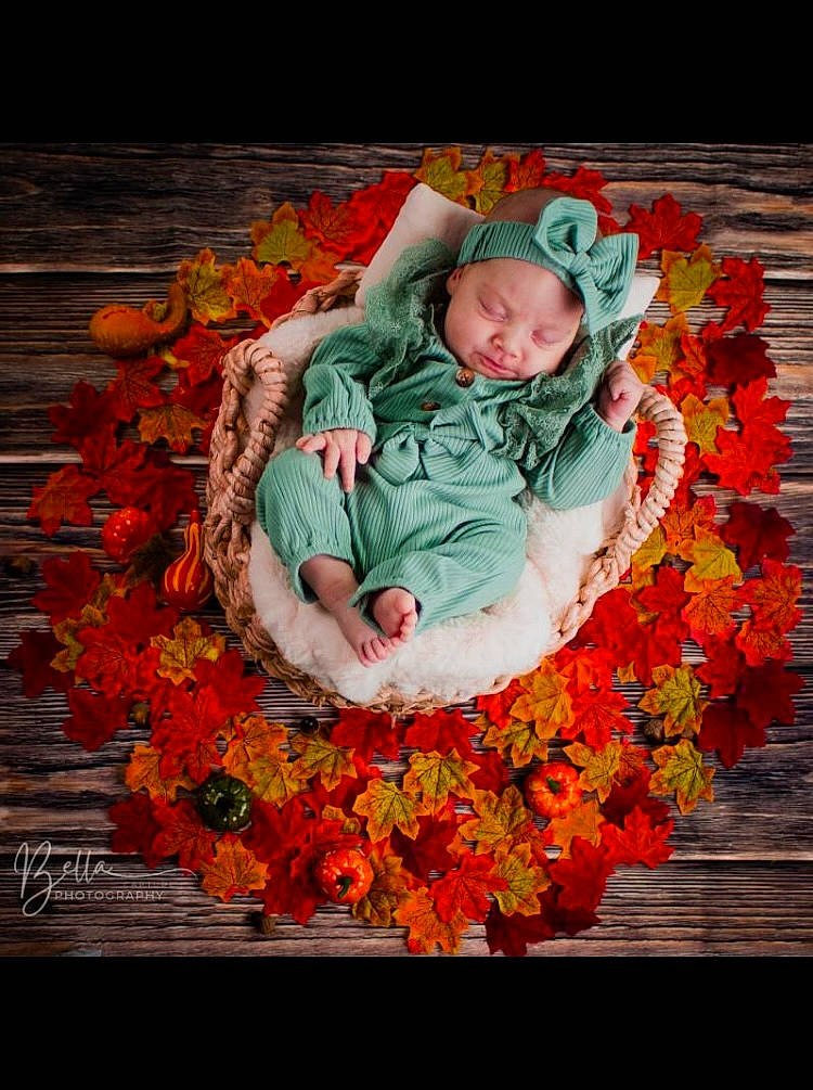 Cecilia participe au concours pour gagner de l'argent avec cette photo : art, baby, cut_flowers, deciduous, flooring, floral_design, flower, flower_arranging, headwear, linens, orange, pattern, peach, people_in_nature, person, petal, rectangle, sitting, still_life_photography, symmetry