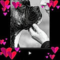 Ginie Vir