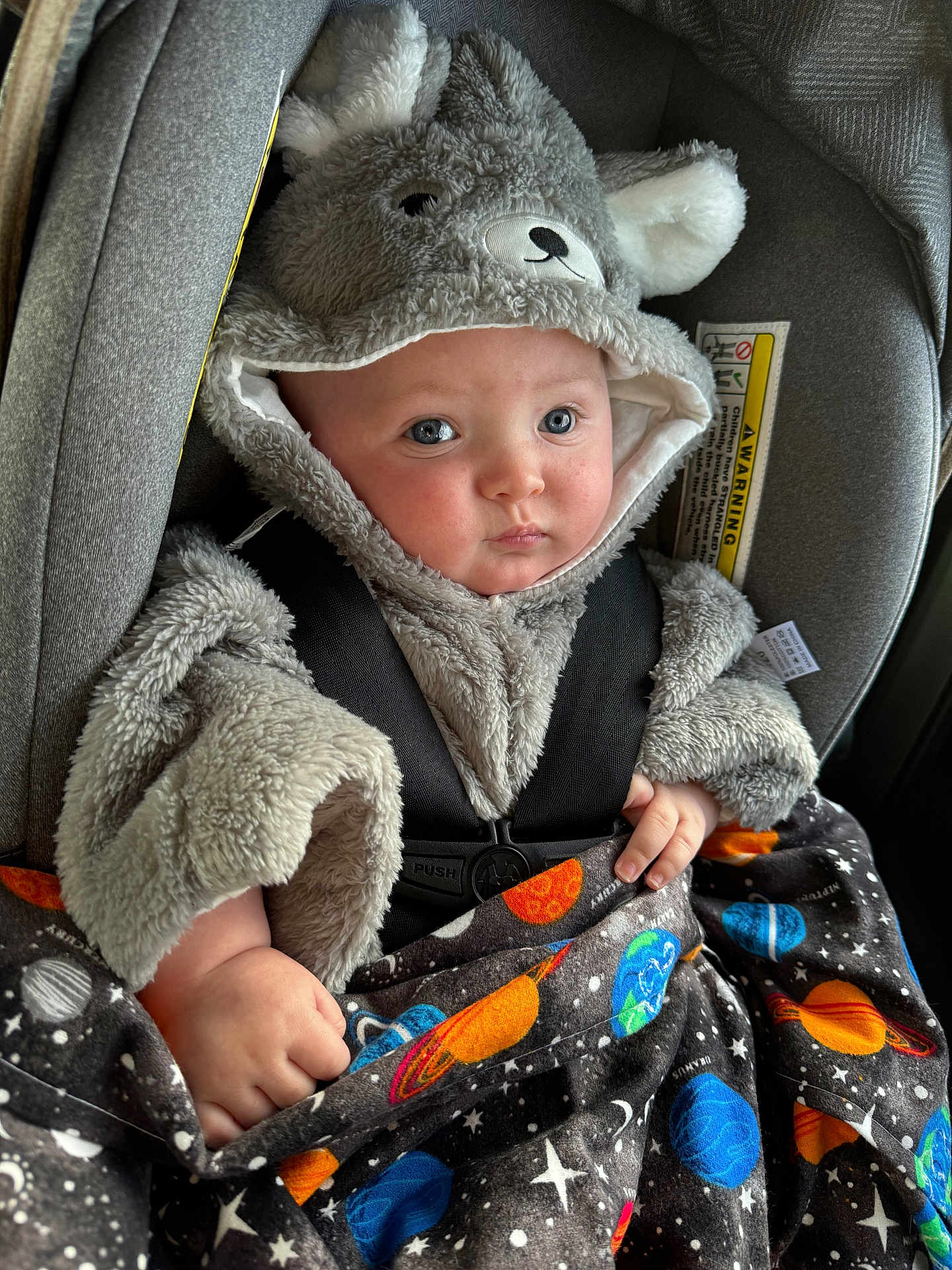 Kyler is registered to the contest to win money with this photo: baby, bonnet, cap, car, car_interior, carseat, clothing, face, hat, head, hood, hoodie, knitwear, person, photography, portrait, sweater, sweatshirt, transportation, vehicle