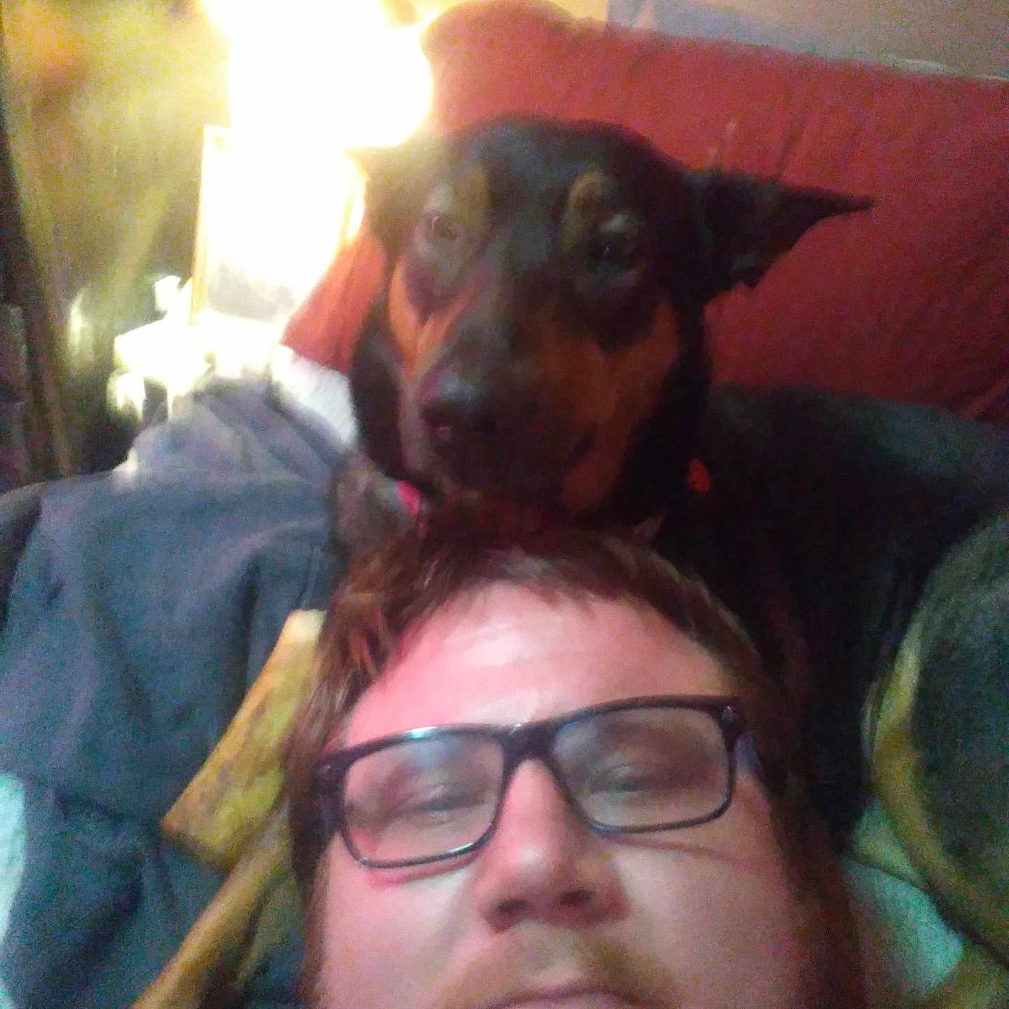 Luna is registered to the contest to win money with this photo: dog, person, glasses, head, face, couch, pillow, indoor, light, blur, resting, lying_down, brown, black, red, furniture, casual, companion, pet, relaxed