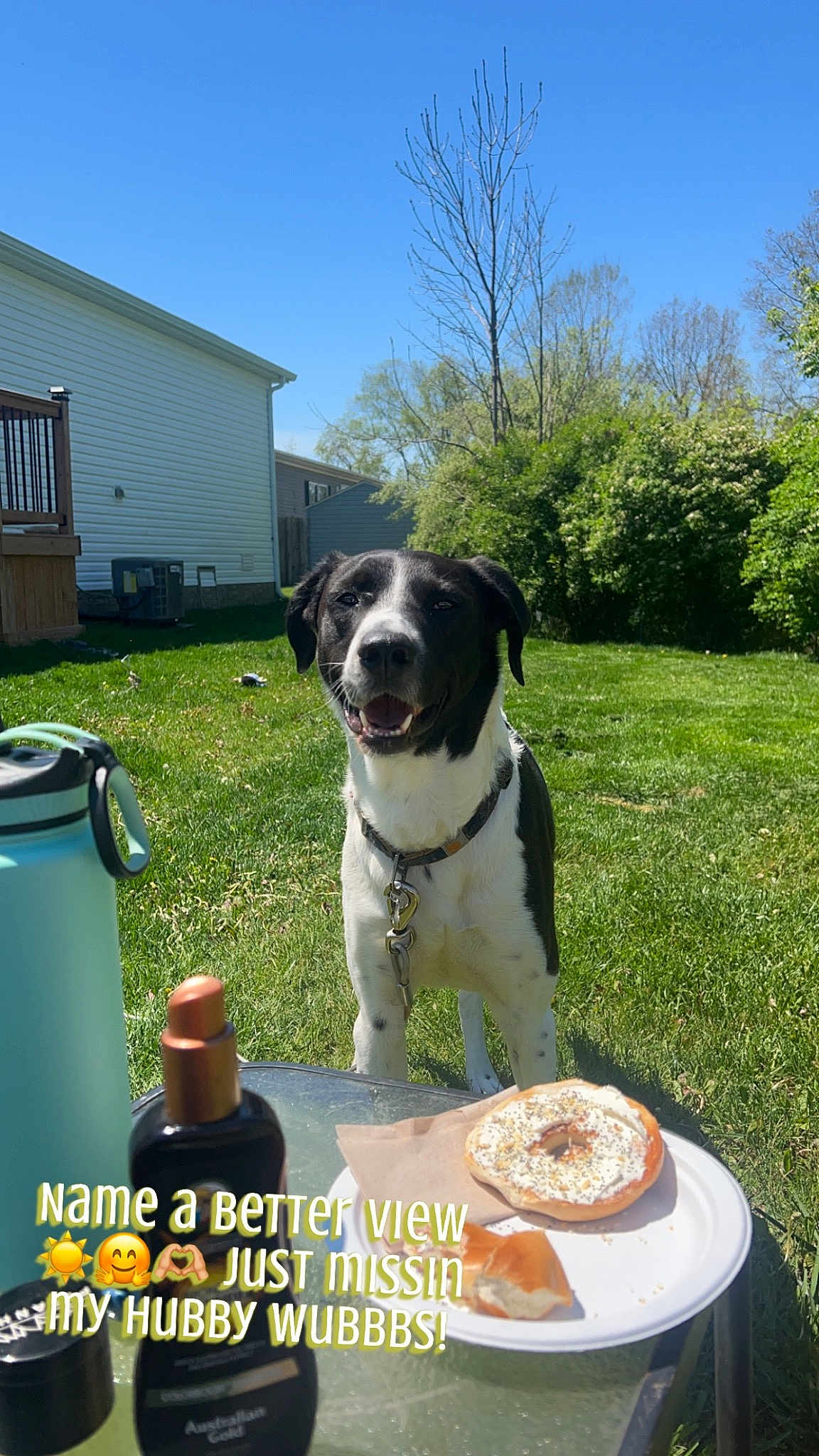 Yogi