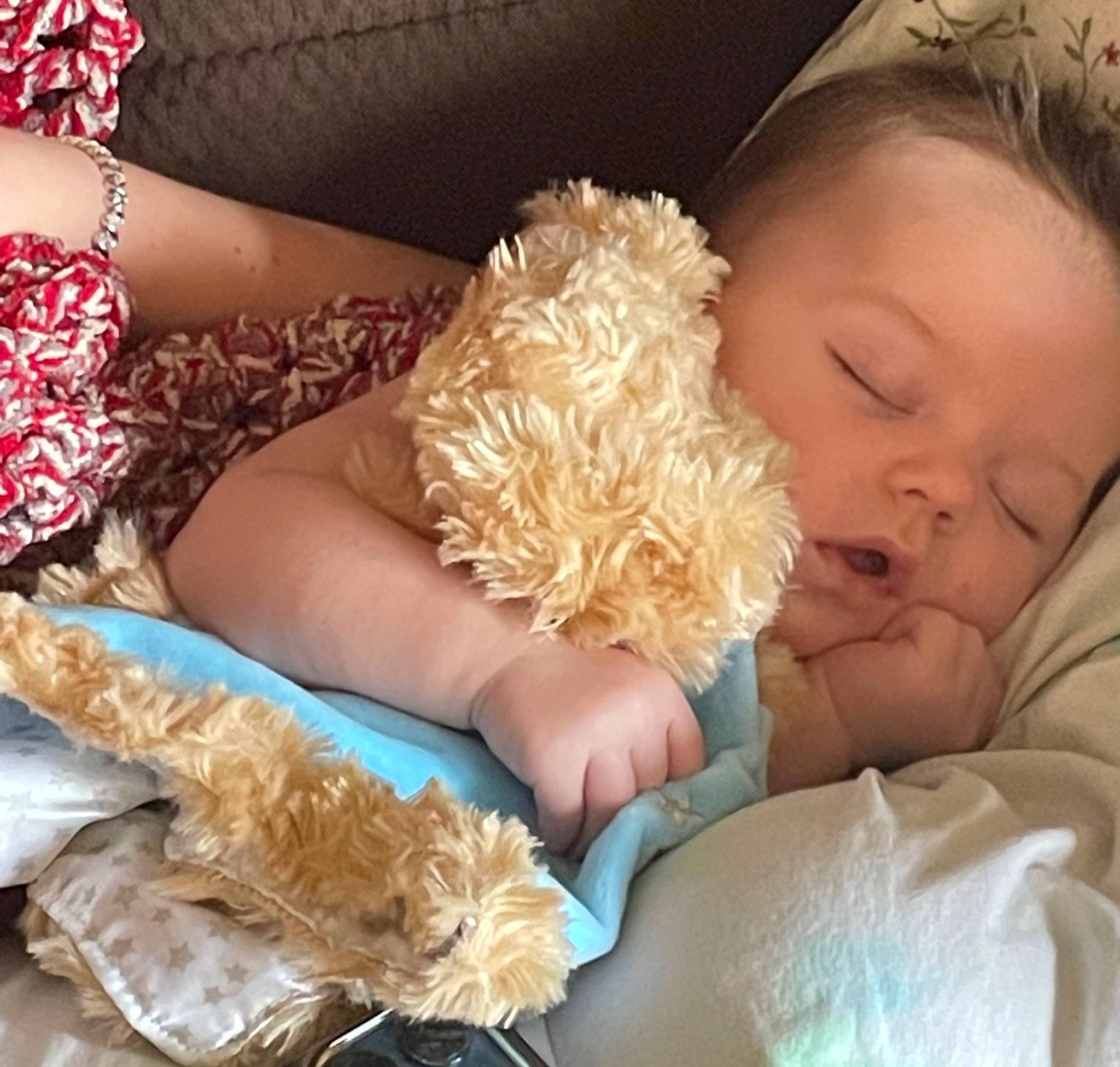 Maxwell joined the competition — help win amazing prizes! baby, beauty, child, comfort, companion_dog, fashion_accessory, fur, happy, jewellery, linens, nail, person, plush, room, sitting, stuffed_toy, teddy_bear, toddler, toy