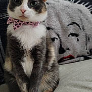 Sophie joined the competition — help win amazing prizes! cat, calico_cat, bow_collar, pet, indoor, couch, blanket, face_art, feline, animal, sitting, cute, fur, whiskers, ears, paws, tail, cozy, home, portrait