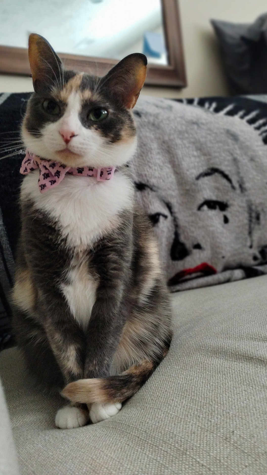 Sophie