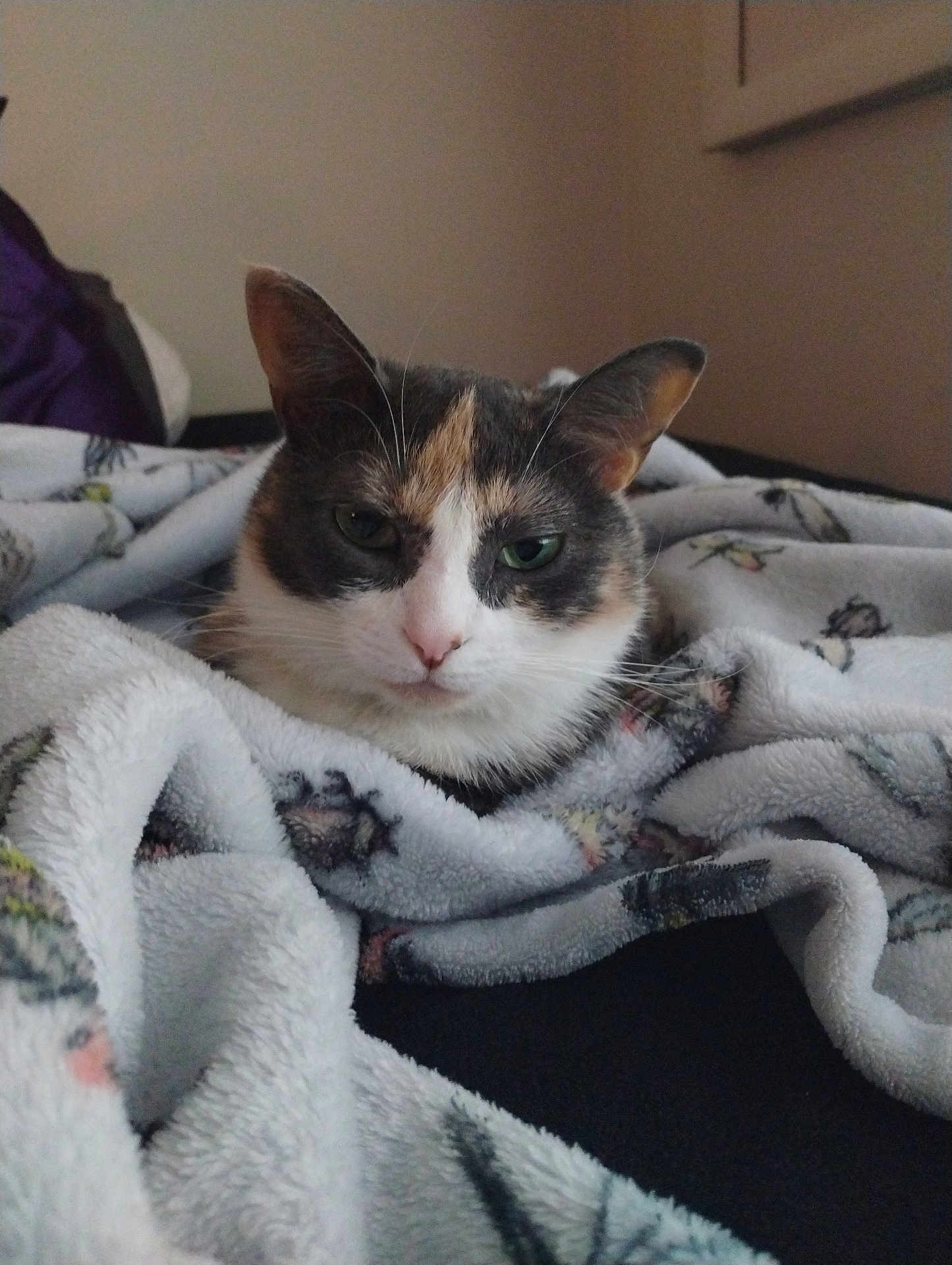Sophie