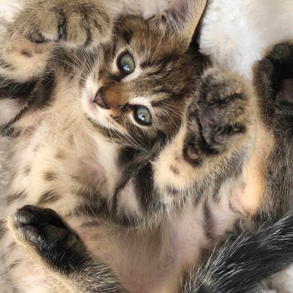 Sleepy