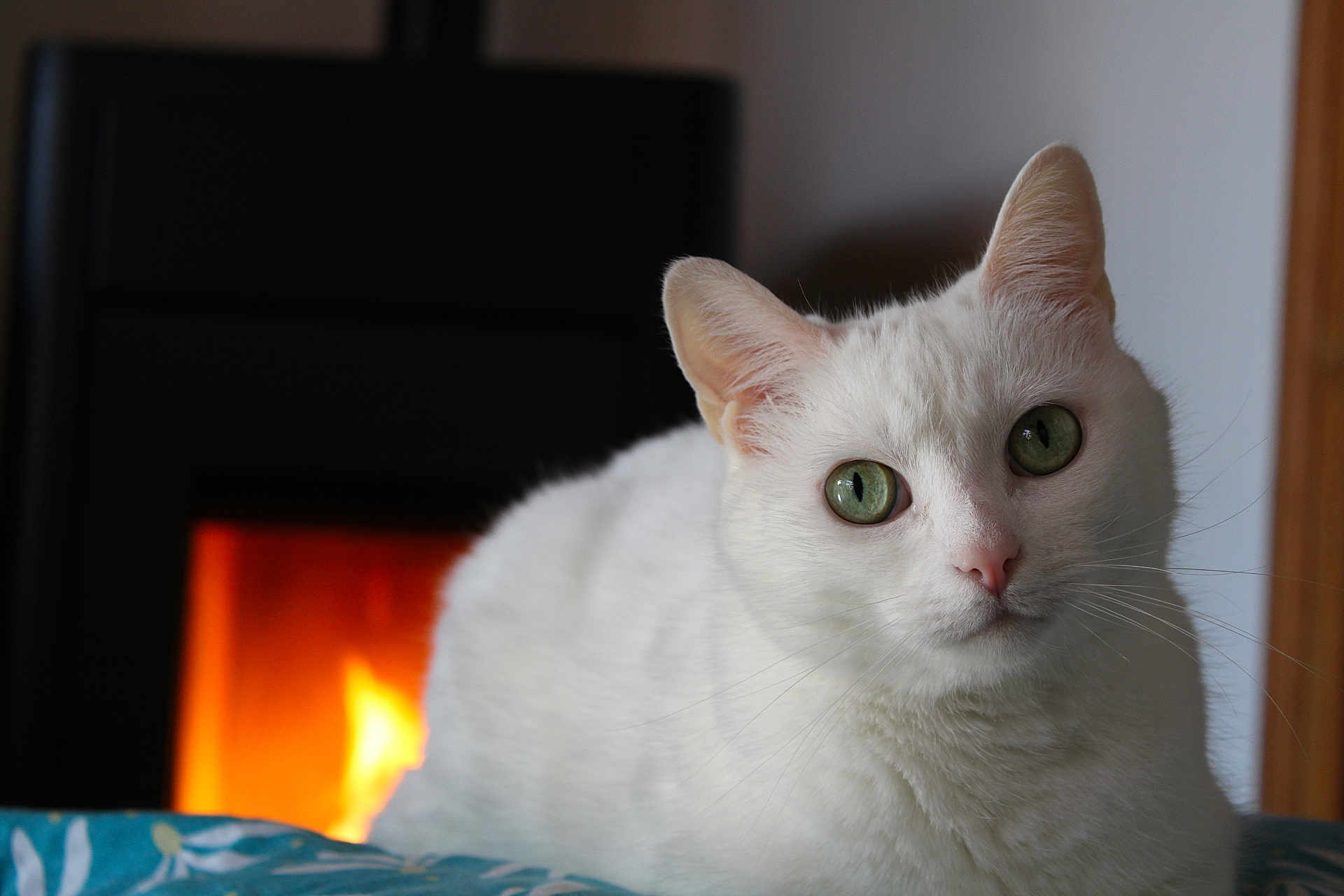 Lilou