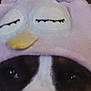 Bella is registered to the contest to win money with this photo: dog, hat, close_up, animal_costume, purple, black_and_white, pet, cute, cozy, fabric, face, indoors, soft_texture, sleepy_eyes, costume, funny, animal_hat, headwear, pet_accessory, domestic_animal