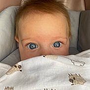 Adèle Et Michèle participe au concours pour gagner de l'argent avec cette photo : baby, blue_eyes, blanket, child, cute, face, infant, looking, pattern, peeking, person, portrait, sheep, soft, toddler, wrapped, young, expression, closeup, skin