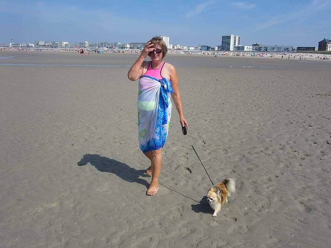 Zezai a rejoint le concours — aidez-le/la à gagner de superbes lots ! beach, carnivore, day_dress, dog, dog_breed, dog_walking, dress, fawn, fun, holiday, leash, mammal, people_on_beach, pet_supply, sand, sporting_group, summer, sunglasses, travel, vacation