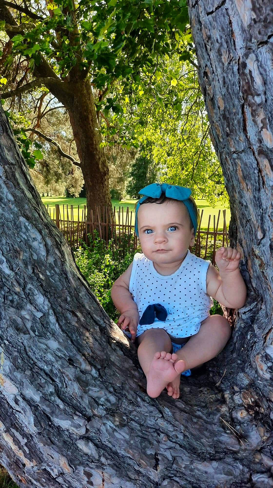 Mihä a rejoint le concours — aidez-le/la à gagner de superbes lots ! azure, baby, baby_toddler_clothing, botany, branch, eye, flash_photography, grass, happy, leaf, leisure, natural_environment, people_in_nature, person, plant, toddler, tree, trunk, twig, wood