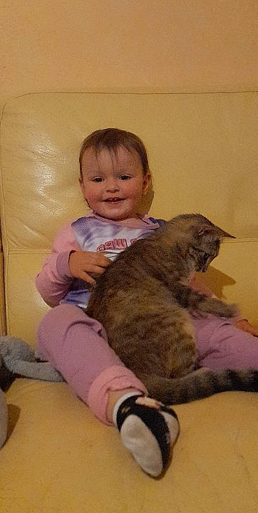 Sabrina a rejoint le concours — aidez-le/la à gagner de superbes lots ! baby, baby_toddler_clothing, carnivore, cat, child, comfort, companion_dog, facial_expression, fawn, felidae, flooring, fur, happy, joy, lap, person, skin, small_to_medium_sized_cats, smile, toddler