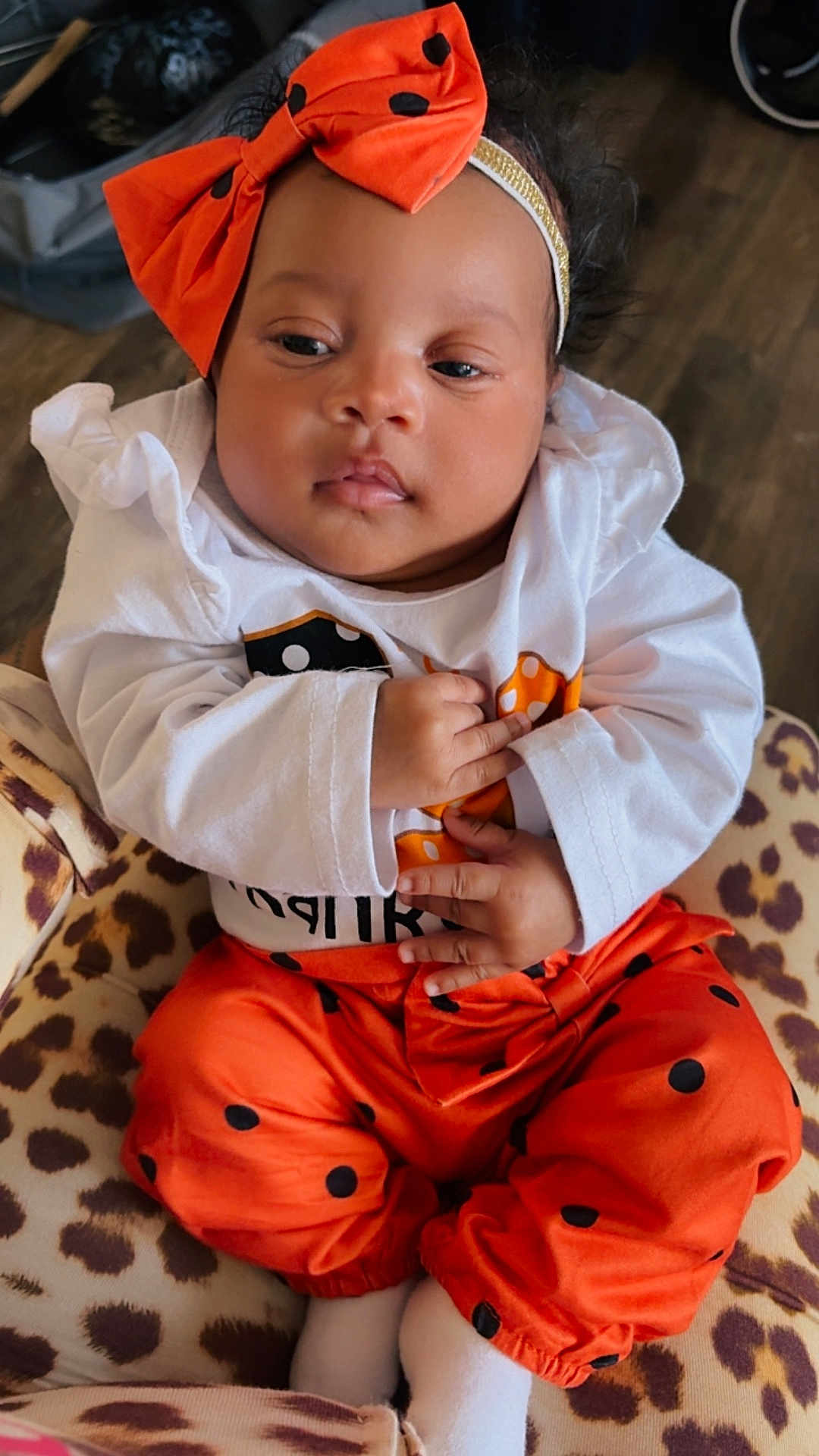 Reigna is registered to the contest to win money with this photo: baby, infant, child, headband, bow, orange_pants, polka_dot, white_shirt, sitting, hands, face, eyes, indoor, leopard_print, blanket, wooden_floor, stroller_wheel, portrait, cute, clothing