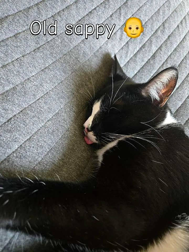Zorro