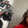 Zorro is registered to the contest to win money with this photo: cat, black_and_white, tuxedo_cat, animal, pet, whiskers, yellow_eyes, profile, sitting, indoor, person, portrait, red_blanket, flowers, houseplant, couch, cozy, home, close_up, vertical_photo
