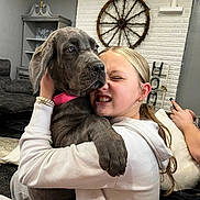 Nova joined the competition — help win amazing prizes! girl, dog, hug, living_room, sofa, waggon_wheel, decor, gray_dog, pink_collar, casual_clothing, bracelets, person_using_phone, couch, smile, indoor, cozy, pet, friendship, home, relaxation