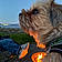 Cooper Pupp