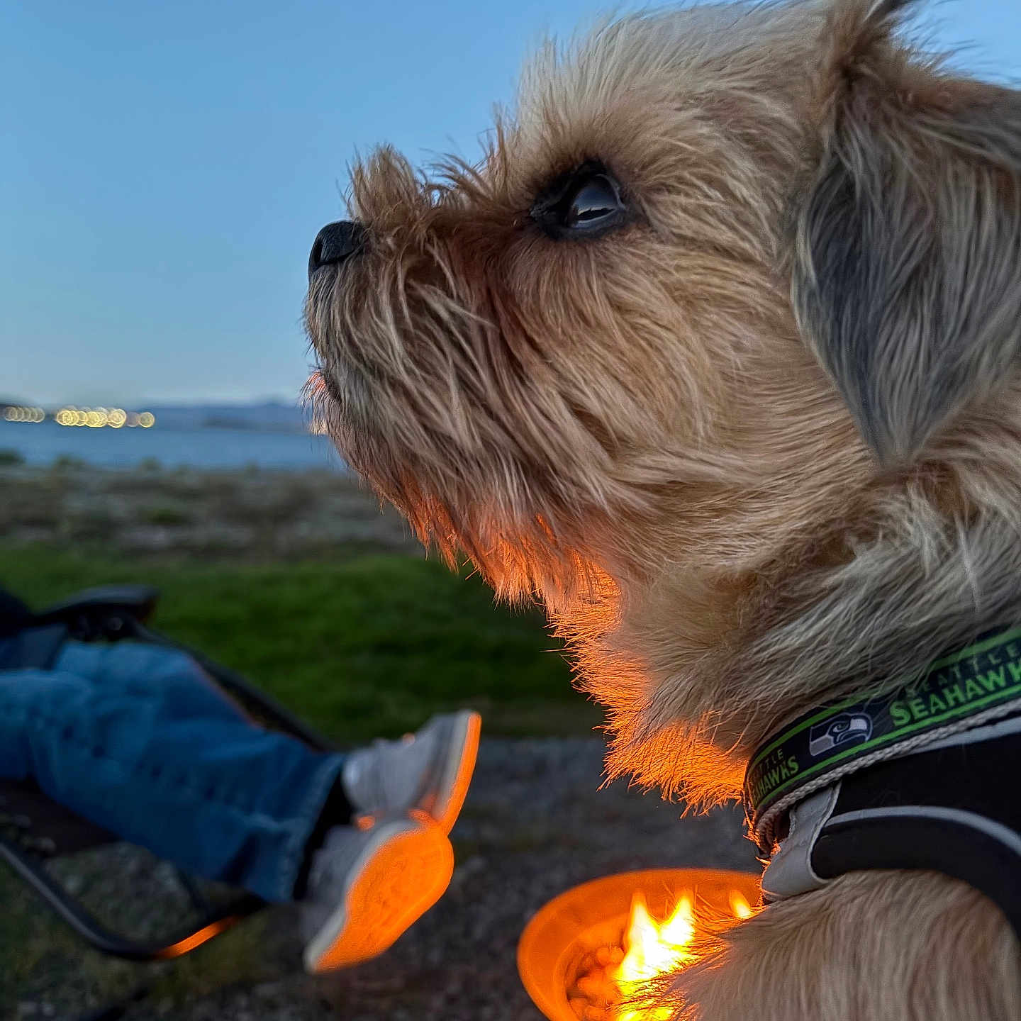 Cooper Pupp