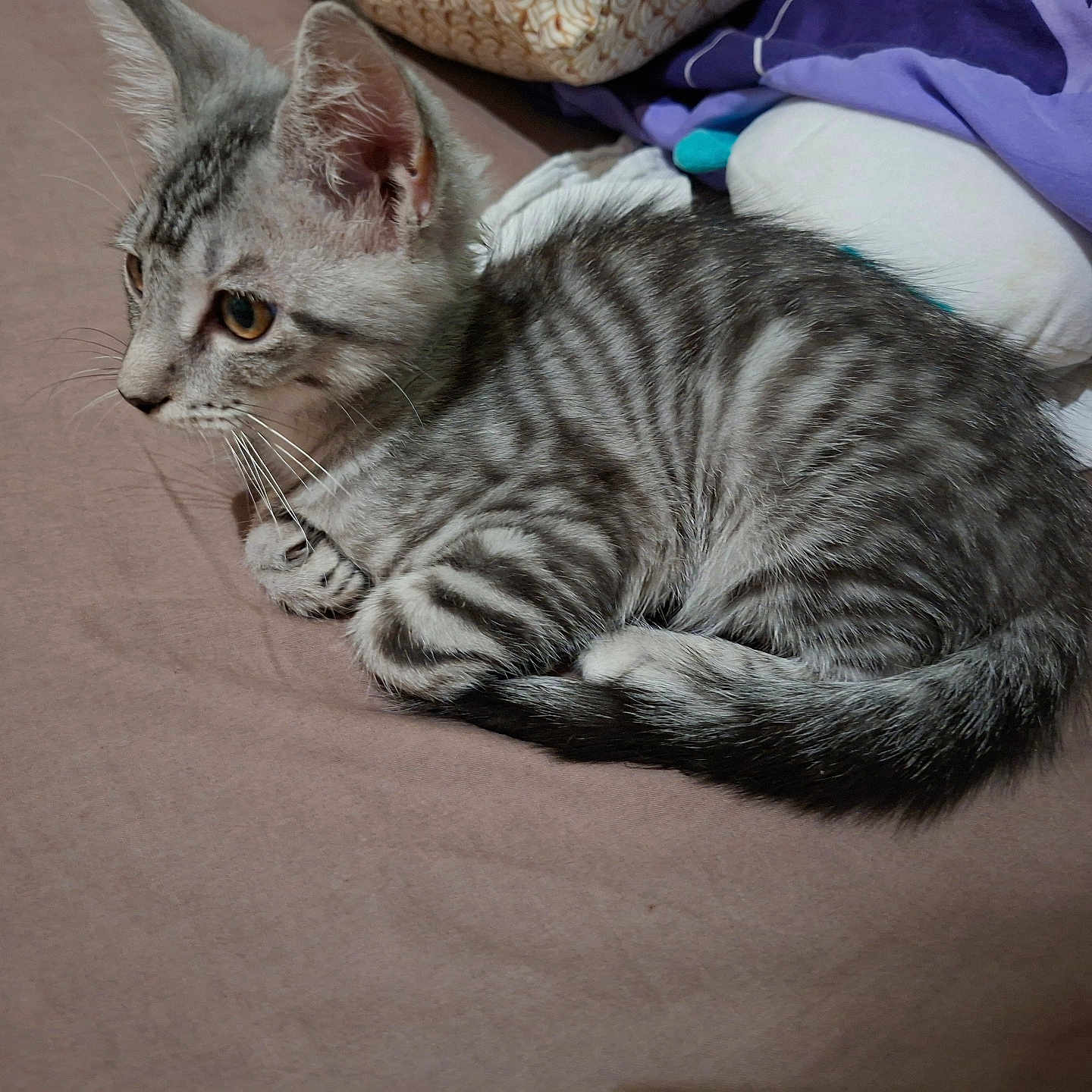 Naya