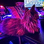 cat, longhair_cat, desk, monitor, rgb_lighting, purple_lighting, neon, computer, gaming_setup, mouse, mousepad, soda_can, chip_bag, furry, side_profile, pet, indoor, close_up, backlit, relaxed