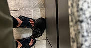 Onyx joined the competition — help win amazing prizes! animal, black_cat, black_sandals, close_to_feet, curious_cat, cute, domestic_cat, feet, feline, floor_tiles, home, indoor, kitchen_cabinet, kitten, looking_up, pet, shadow, small_animal, toes, wooden_floor