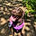 Josey May Wales