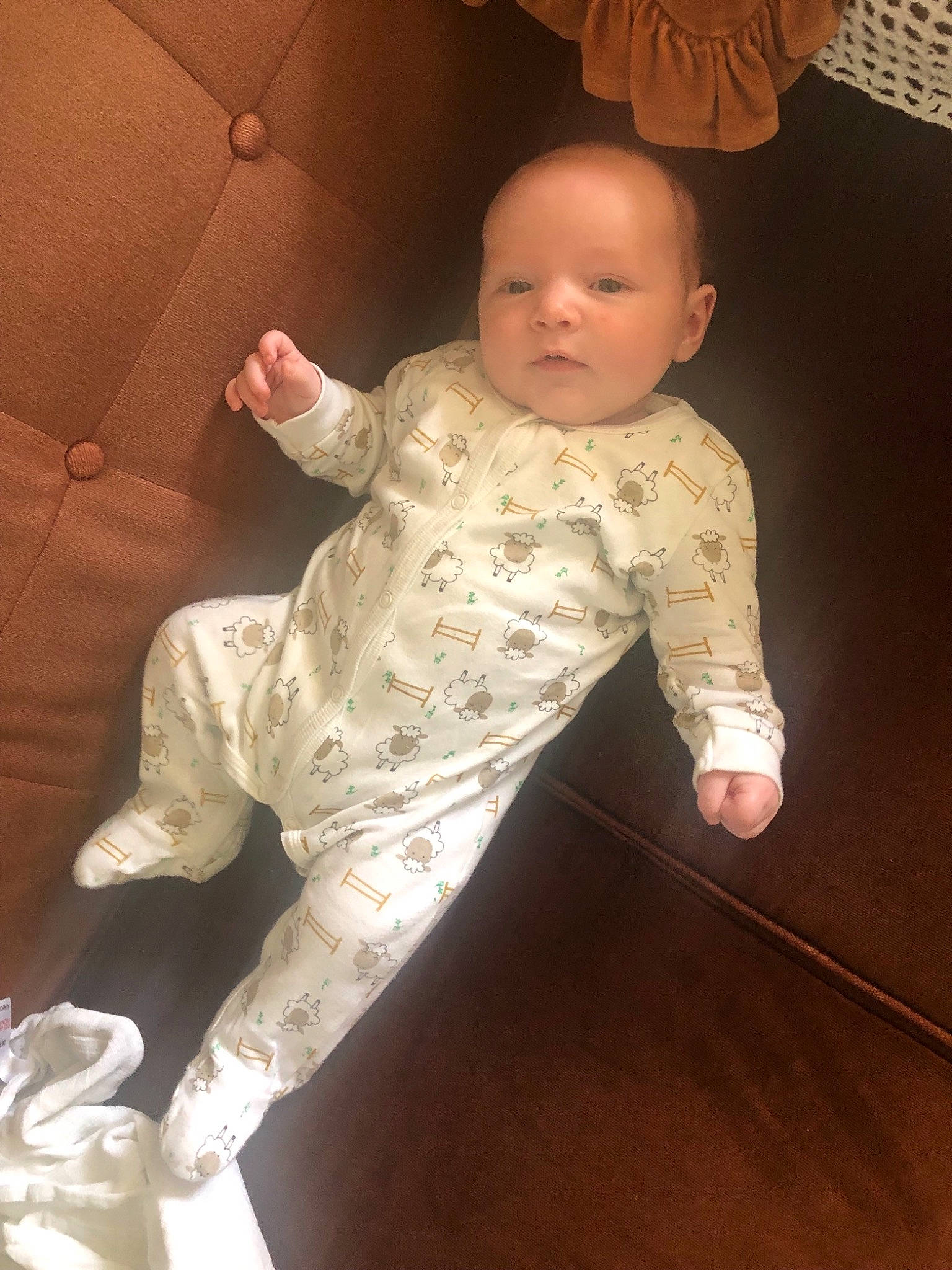 Bear is registered to the contest to win money with this photo: baby, child, person, standing, toddler